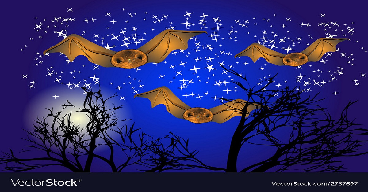 The Cute and Curious World of Bats