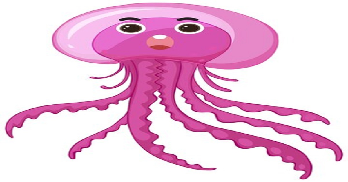 drawing:ifs1amzagw0= octopus